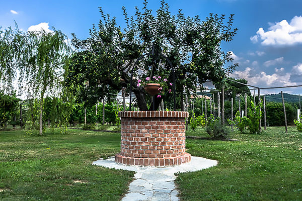 Giardino esterno Giardino esterno